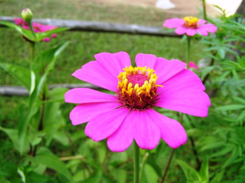 P9230227.jpg