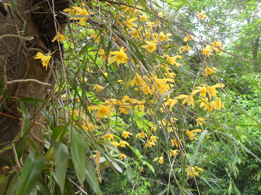 SDC14127.jpg