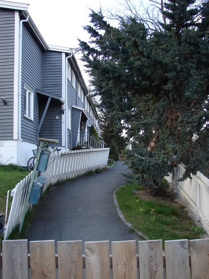 DSC06212.jpg
