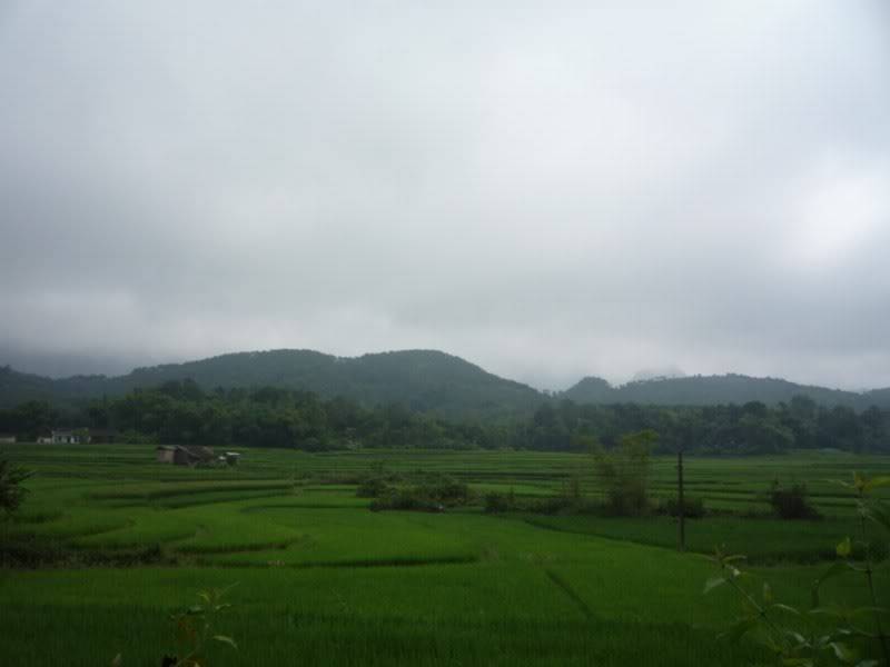 P1010848800x600.jpg