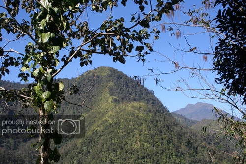 IMG_1714_zps3487b9d3.jpg