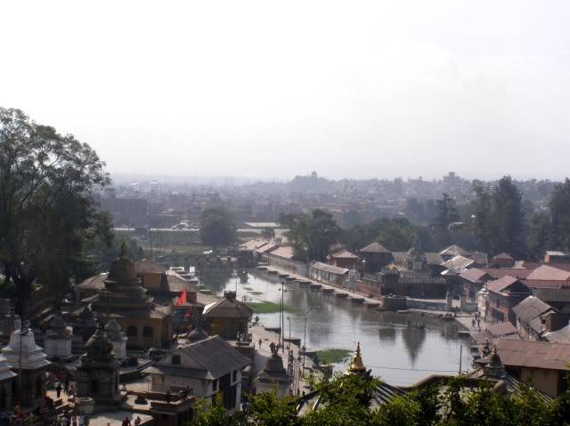PB050007.jpg