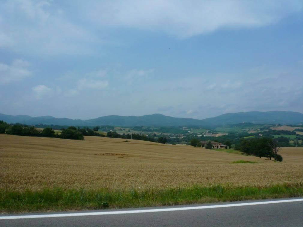 P1020014-1.jpg
