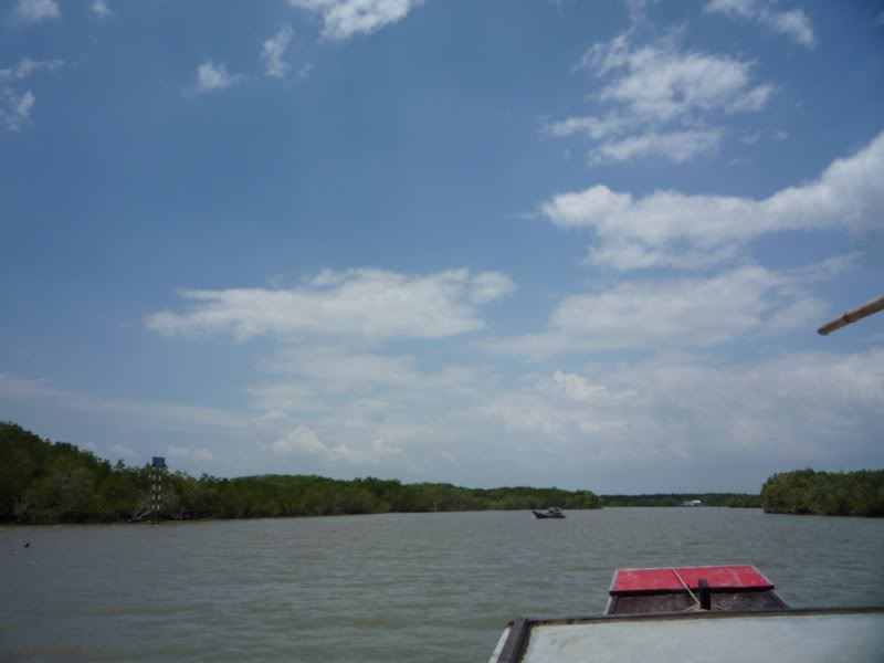 P1030234800x600.jpg