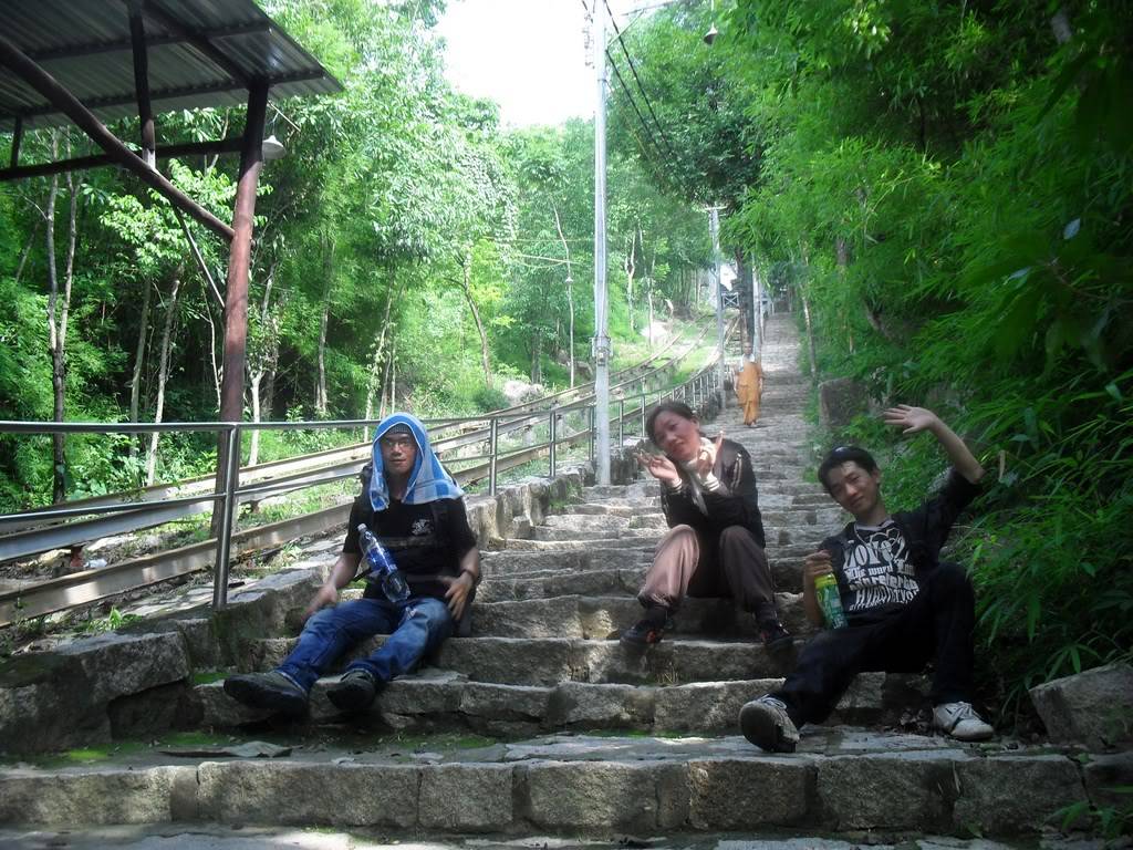 SDC12230.jpg