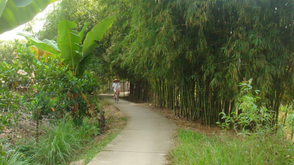 DSC02271.jpg