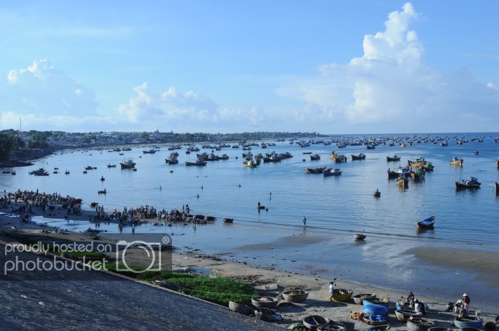 DSC_5982.jpg