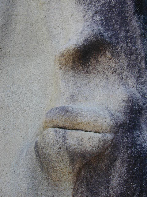 DSCN0065.jpg