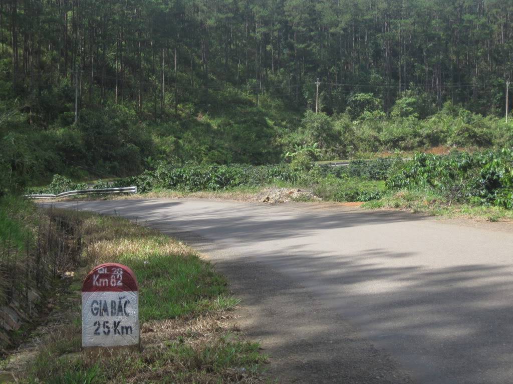 QL55QL28377.jpg