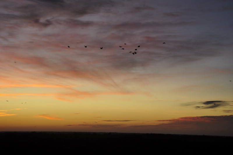 DSC_4036_resize.jpg