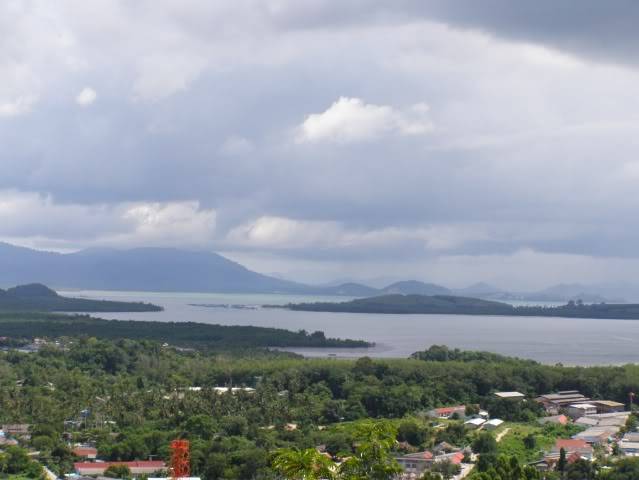 P7110246.jpg