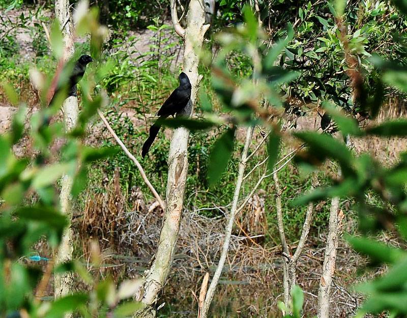 DSC_2498.jpg
