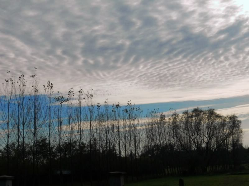 DSCN1164.jpg