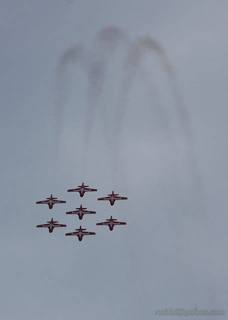 snowbird5.jpg