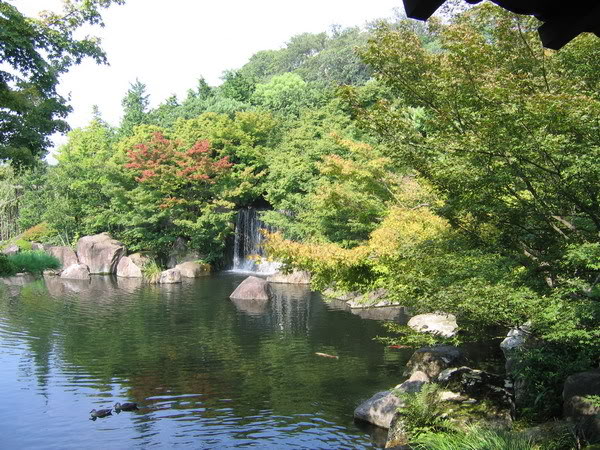 IMG_0604_resize.jpg