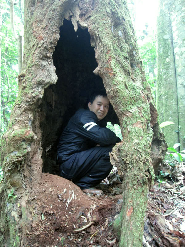 Xuanson2009255.jpg