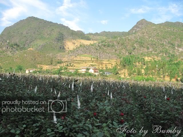 taybac_0019.jpg