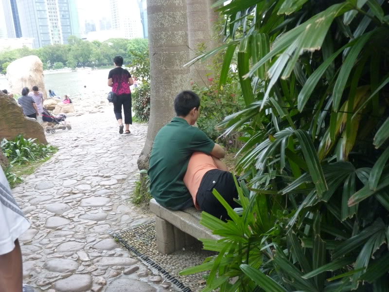 P1030771.jpg