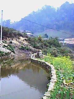 IMG0104A.jpg
