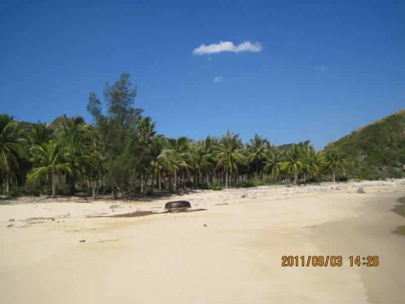 IMG_3518800x600.jpg