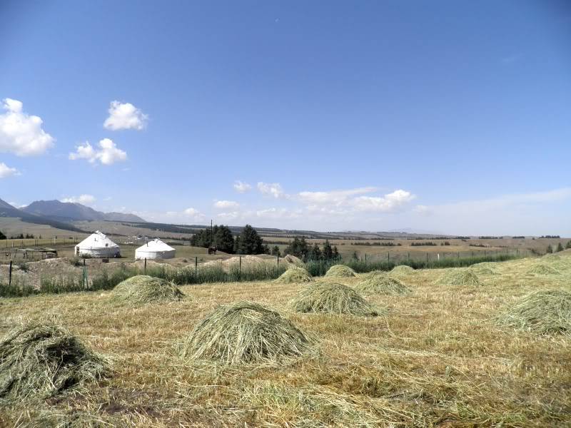 P9021917.jpg