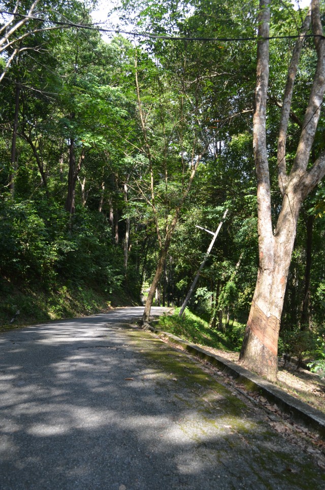 DSC_2584.jpg