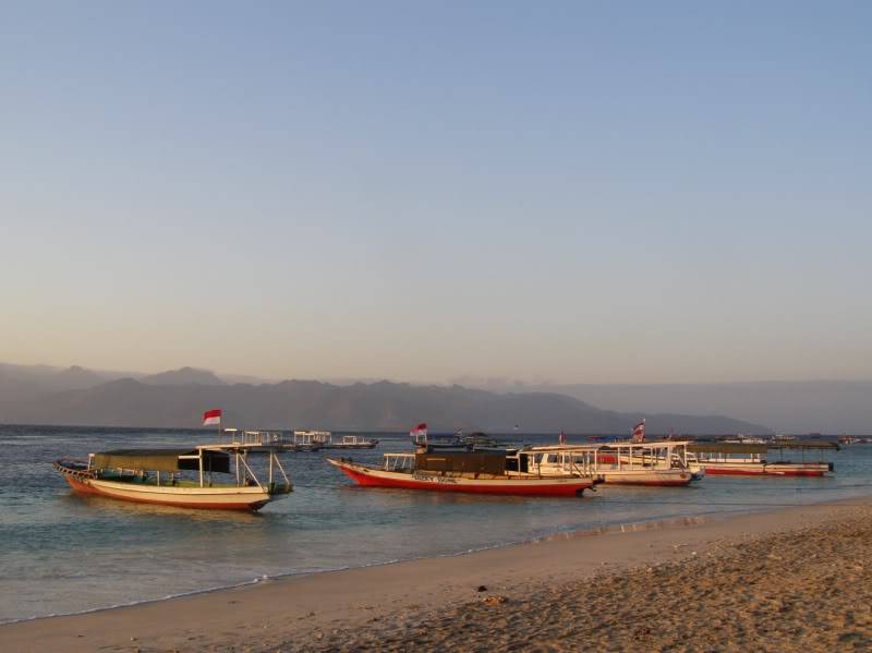 P8100010.jpg