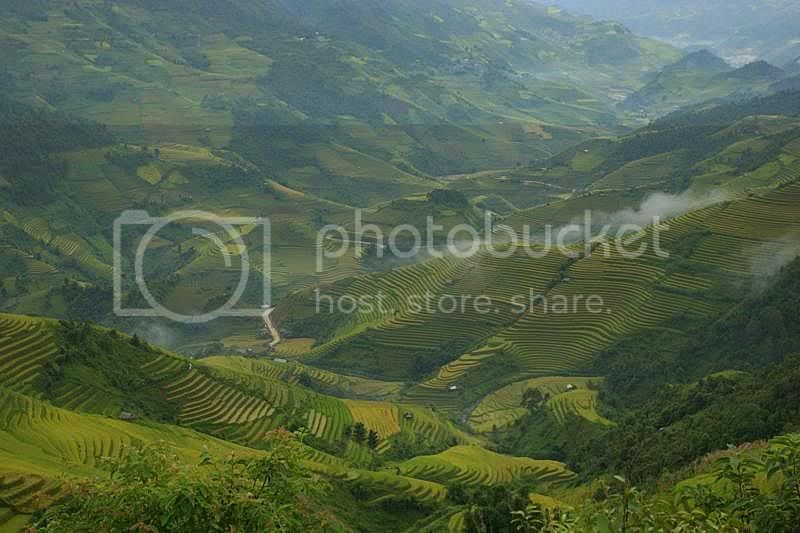 View.jpg