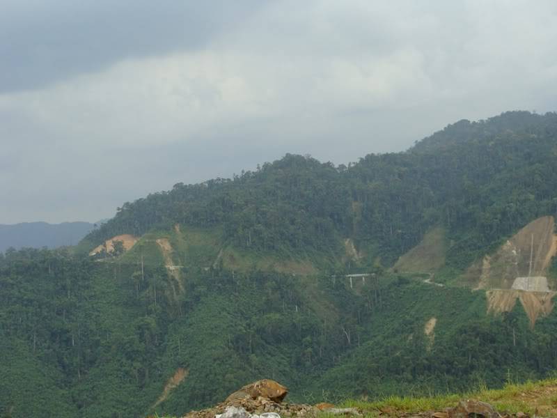 DSC08465.jpg