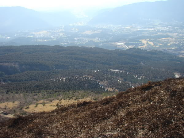 DSC02517_resize.jpg