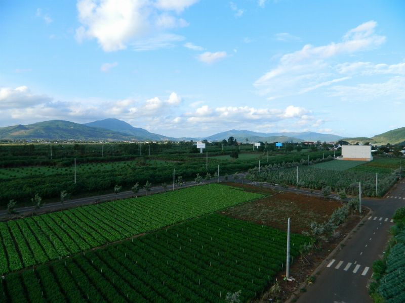 DSCN1810.jpg