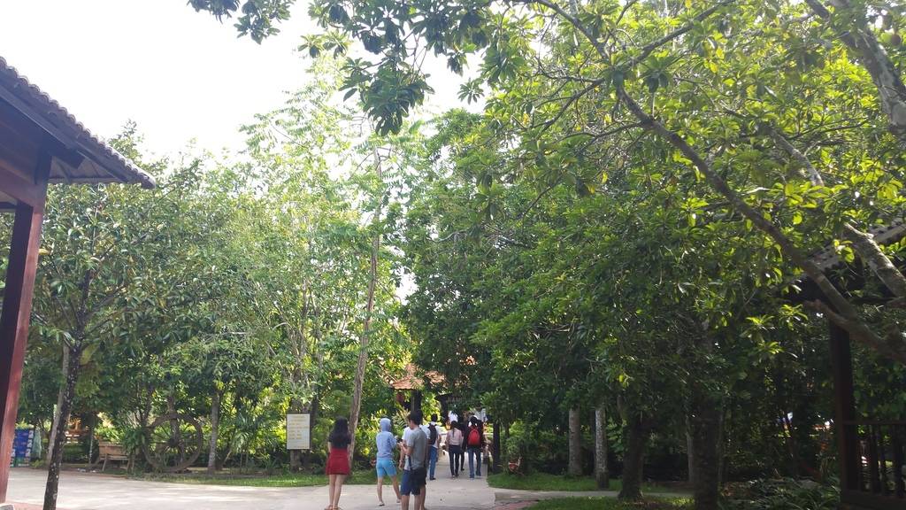 20150718_083031_zpsybcyin80.jpg