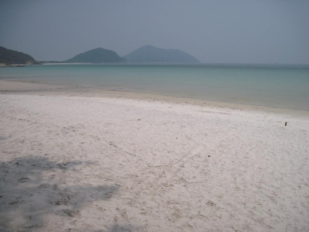 IMG_3931.jpg