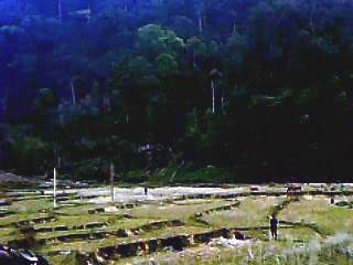 IMG0039A.jpg