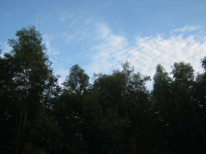 IMG_8525.jpg