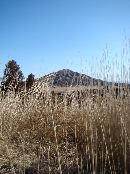 DSC02452_resize.jpg