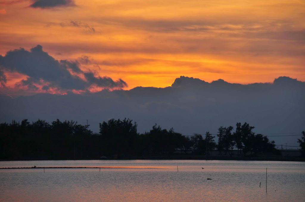 DSC_3034_zps7336f1de.jpg