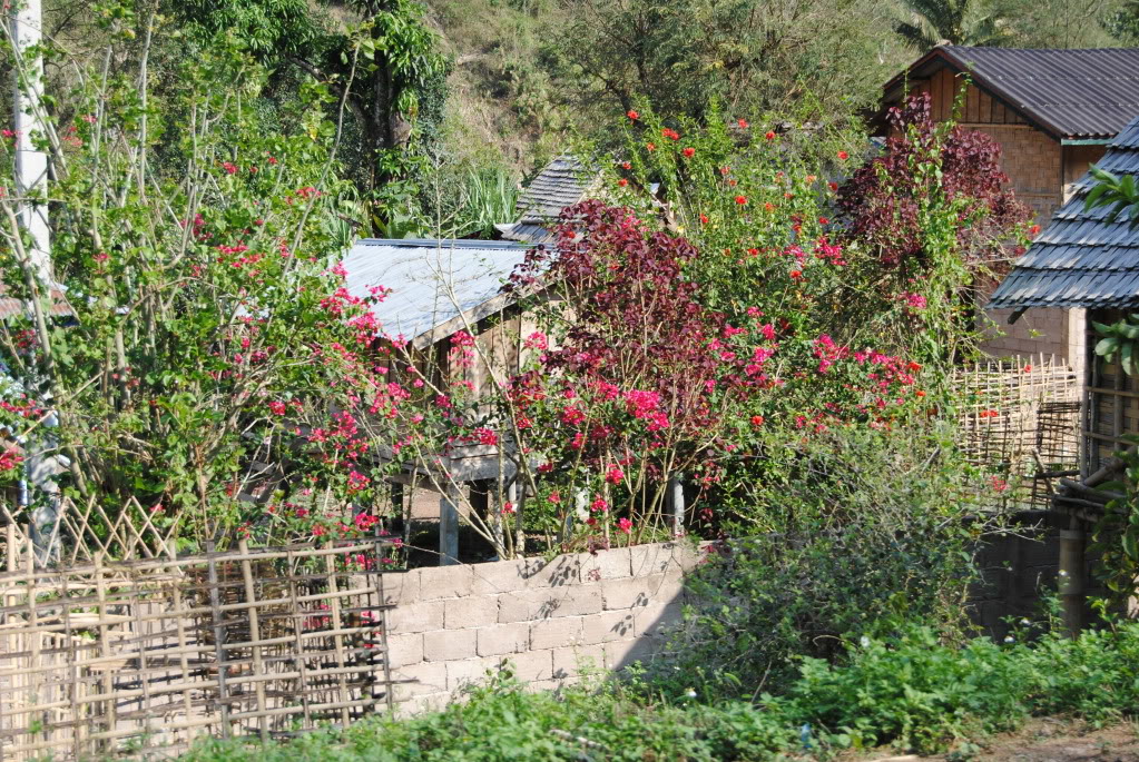 DSC_0108.jpg