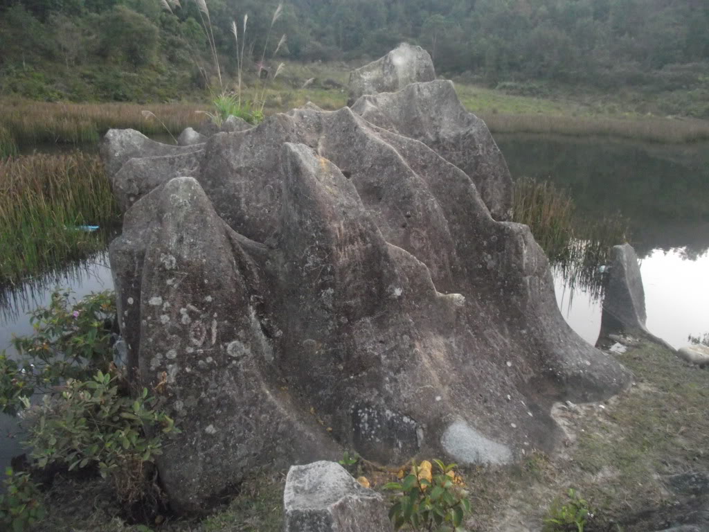 2011_11180044.jpg