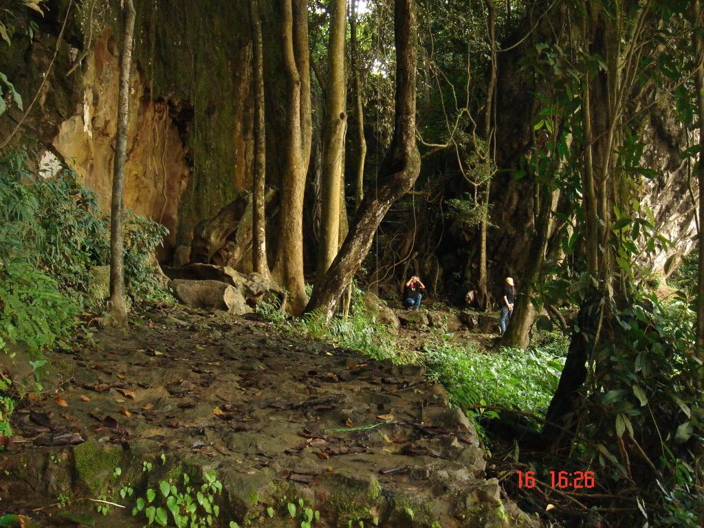 DSC01237.jpg