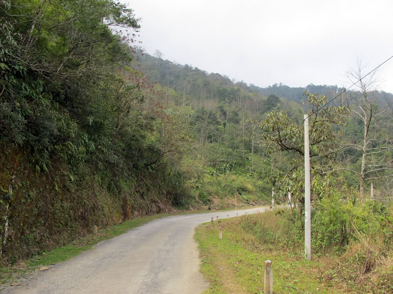 HongNgai2011177.jpg