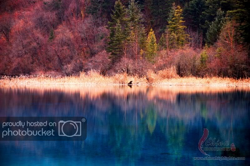 jiuzhaigou-valley-scenic-area23.jpg