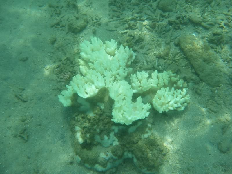 DSCF0107.jpg