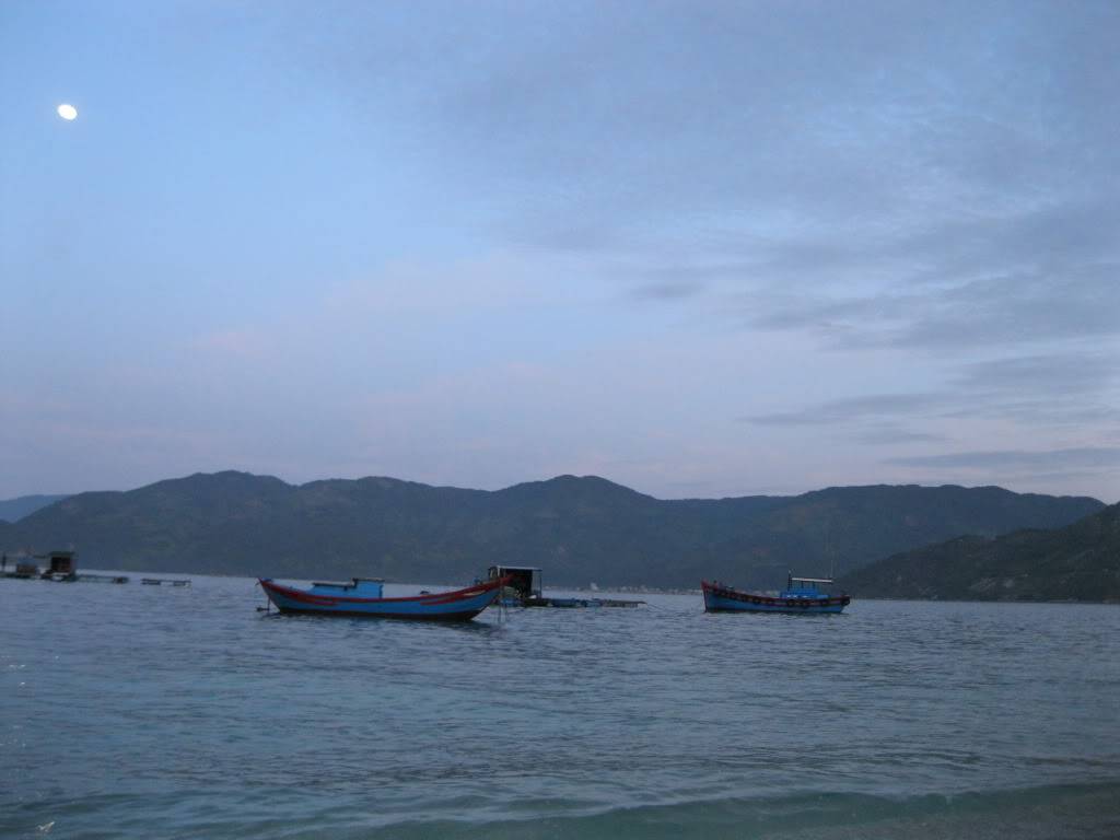 IMG_3919.jpg