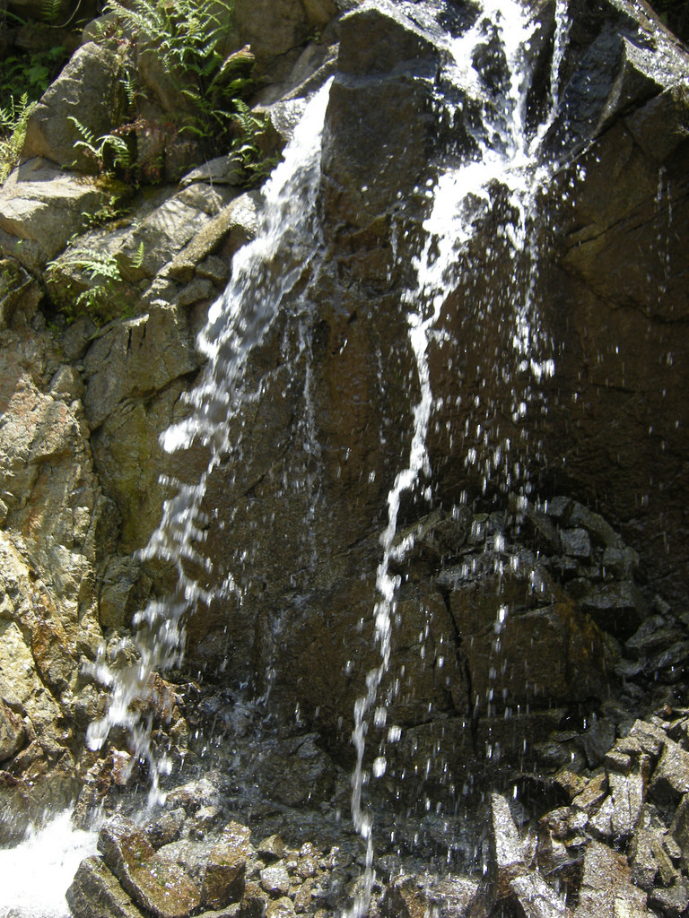 5637485484_5ab170c9cf_b.jpg