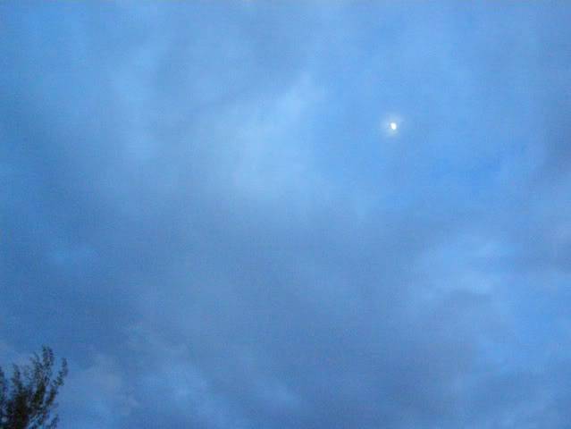 P7120708.jpg