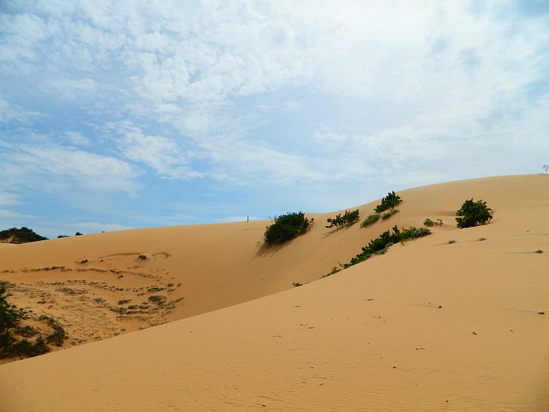 DSCN2118.jpg