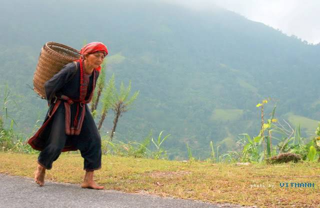 Hgiang13.jpg