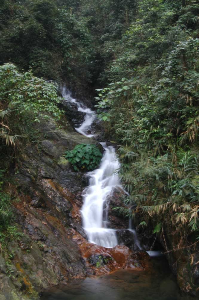 DSC_7314.jpg