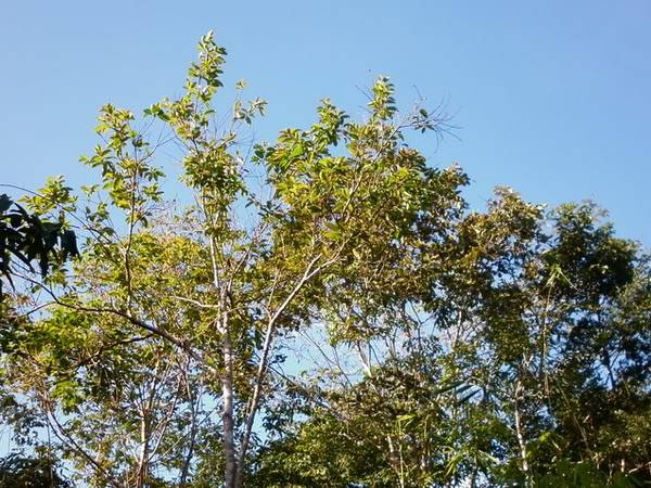 P1000766-1.jpg